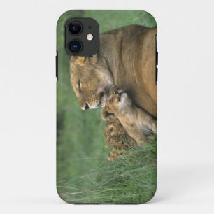 Tanzania, krater van Ngorongoro. Afrikaanse leeuwe iPhone 11 Hoesje