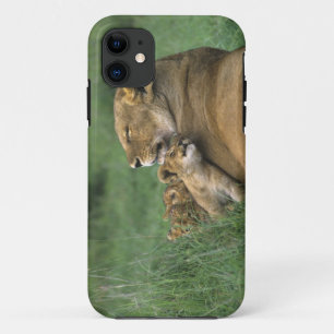 Tanzania, krater van Ngorongoro. Leeuwenmoeder iPhone 11 Hoesje