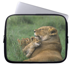 Tanzania, Ngorongoro-krater. Afrikaanse leeuwenmoe Laptop Sleeve