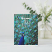 Tanzania Peacock Briefkaart (Staand voorkant)