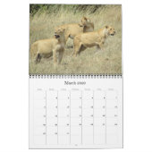 Tanzania Safari 2025 Kalender (Mar 2026)
