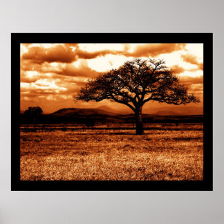 Tanzania Safari Poster