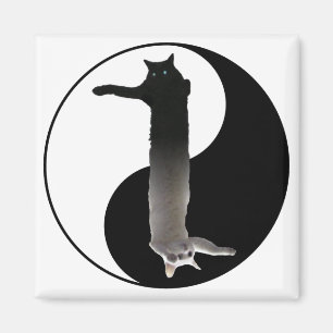 Tao van Longcat Magneet