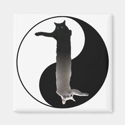 Tao van Longcat Magneet (Voorkant)
