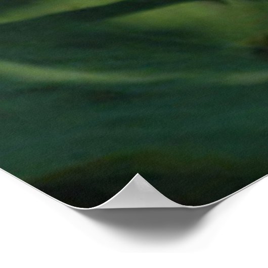 Taoisme Poster (Hoek)