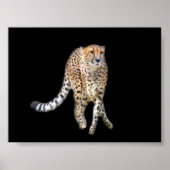 Tap Dance Poster (Voorkant)