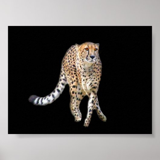 Tap Dance Poster (Voorkant)