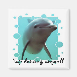 Tap dansen, iemand? magneet