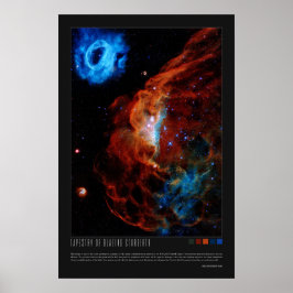 Tapestry of Blazing Starborn (NGC 2014, NGC 2020) Poster