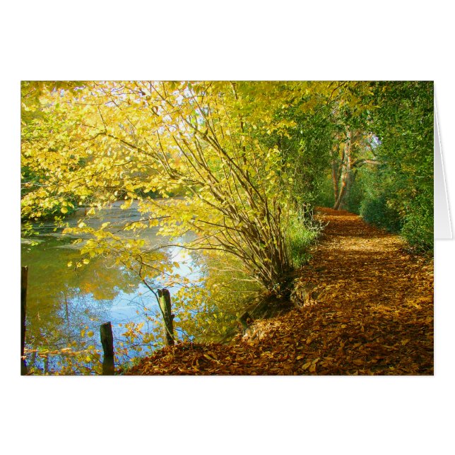 tapijt van bladeren (Voorkant Horizontaal)