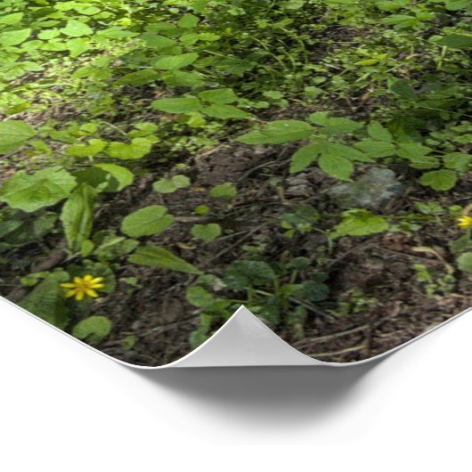 Tapijt van wilde knoflook met boomschaduwen poster (Hoek)