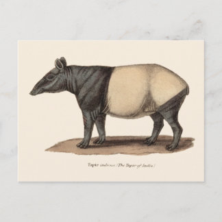 TAPIR-BRIEFKAART BRIEFKAART