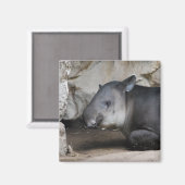 tapir magneet (Voorkant / Achterkant)