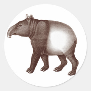 Tapir malais / Tapir asiatique - Stickers