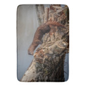 Tapis De Bain American Mink (devant Vertical)