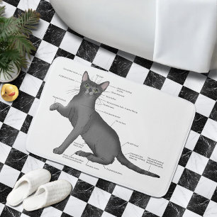Tapis De Bain Anatomie d'un chat