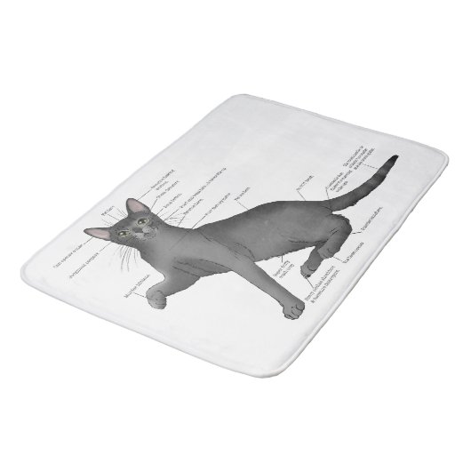 Tapis De Bain Anatomie d'un chat (Angle)