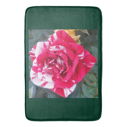 Tapis De Bain Ancia (devant Vertical)