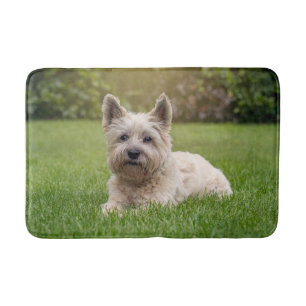 Tapis De Bain Animaux de bébés cutest Cairn Terrier Dog