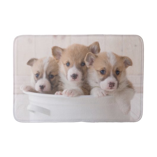 Tapis De Bain Animaux de bébés cutest | Cute Corgi Chipies dans  (Devant)