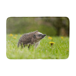 Tapis De Bain Animaux de bébés cutest Hérisson européen