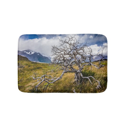 Tapis De Bain Arbre brûlé, Torres del Paine, Chili (Devant)