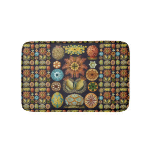 Tapis De Bain Ascidiae par Ernst Haeckel, Animaux marins Vintage