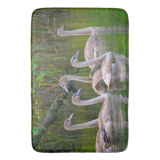 Tapis De Bain Bain de Swan (devant Vertical)