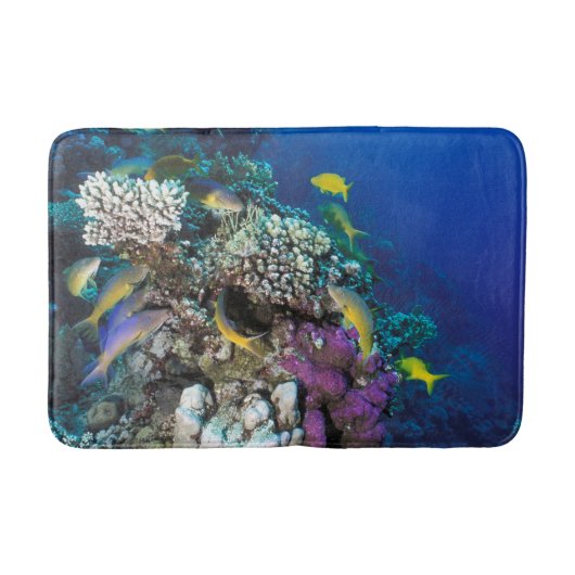 Tapis De Bain Banc de rougets autour d'un petit corail (Devant)
