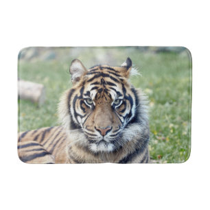 Tapis De Bain Bath Mat Photo chat tigre, animaux.
