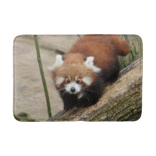 Tapis De Bain Bath Mat Photo panda rouge, animaux 0127.