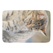Tapis De Bain Beau chat (Devant)