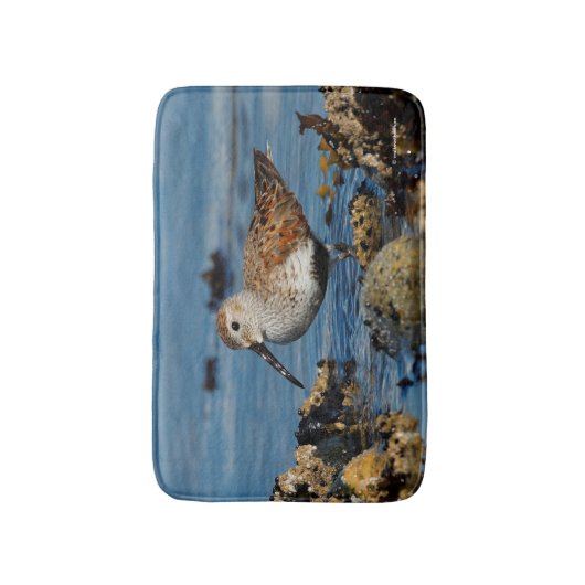 Tapis De Bain Beau dunlin Shorebird à la plage (Devant (Vertical))
