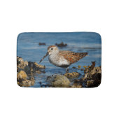 Tapis De Bain Beau dunlin Shorebird à la plage (Devant)
