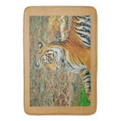 Tapis De Bain Beau tigre (devant Vertical)