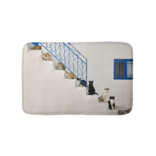 Tapis De Bain Beaucoup de chats sur un escalier blanc dans un vi