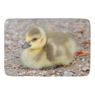 Tapis De Bain Bébé adorable Oie du Canada sur le gravier