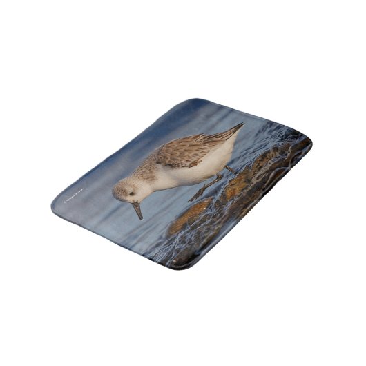 Tapis De Bain Bécasseau de Sanderling mignon Marche Plage d'hive (Angle)
