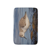 Tapis De Bain Bécasseau de Sanderling mignon Marche Plage d'hive (Devant (Vertical))