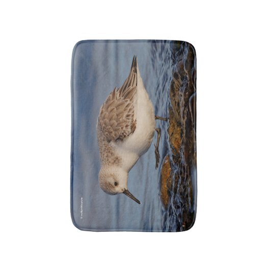 Tapis De Bain Bécasseau de Sanderling mignon Marche Plage d'hive (Devant (Vertical))