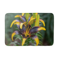 Black Gold Hybrid Asiatique Lily, Fleur Photograph