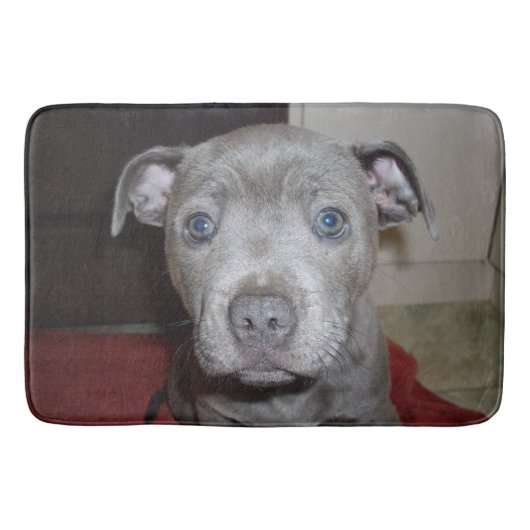 Tapis De Bain Blue Staffordshire Bull Terrier Chiot, Bathmat (Devant)