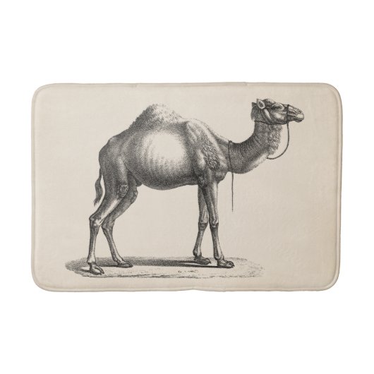 Tapis De Bain Brodtmann Dromedary Camel croquis (Devant)
