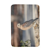 Tapis De Bain Buse à épaulettes rouge sur un rocher (Devant (Vertical))