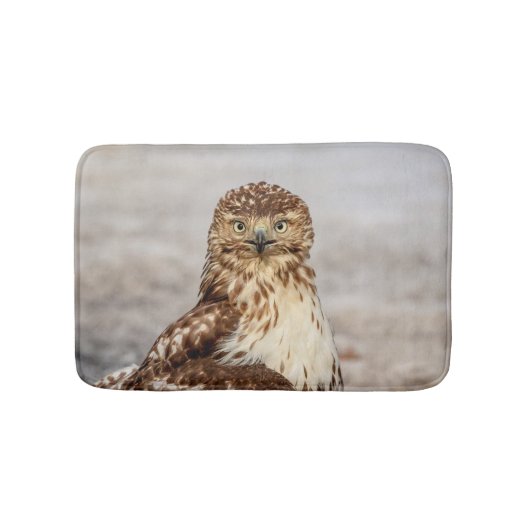 Tapis De Bain Buse à queue rouge immature au sol (Devant)
