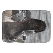 Tapis De Bain Canard à bec cerclé (Devant)