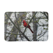 Tapis De Bain Cardinal (Devant)