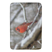 Tapis De Bain Cardinal masculin (devant Vertical)