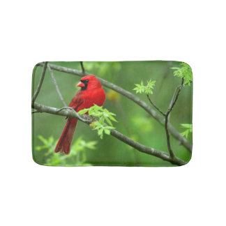 Tapis De Bain Cardinaux rouges sur l'arbre