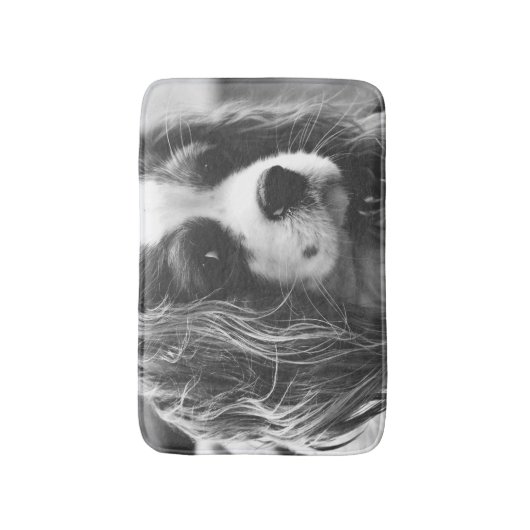 Tapis De Bain Cavalier King Charles Spaniel (Devant (Vertical))